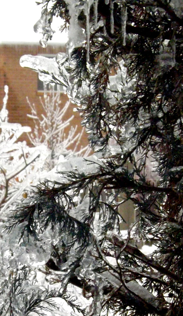 A CREATIVE THAW IN A WINTER WORLD.