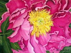 Straight From My Garden; The Development of “Drama Queen”