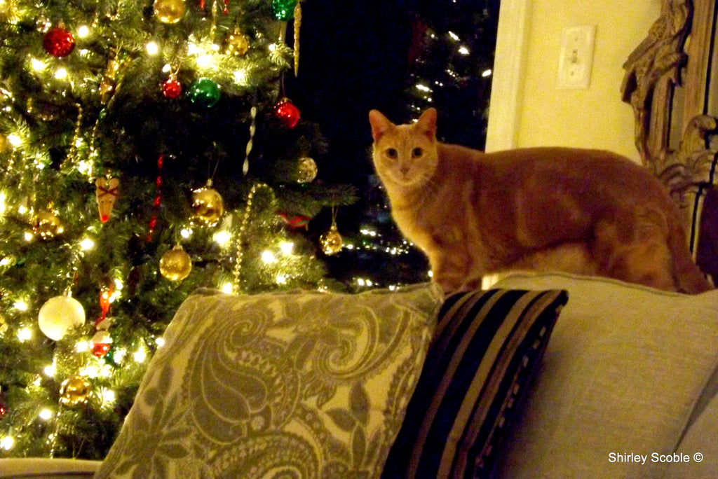 Constructive Christmas